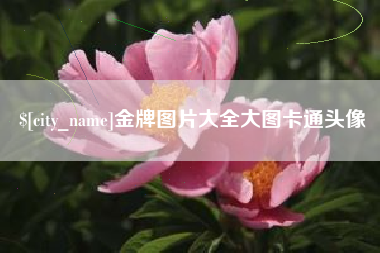 淮南金牌图片大全大图卡通头像