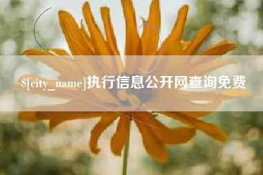 淮南执行信息公开网查询免费