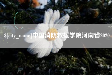淮南中国消防救援学院河南省2020